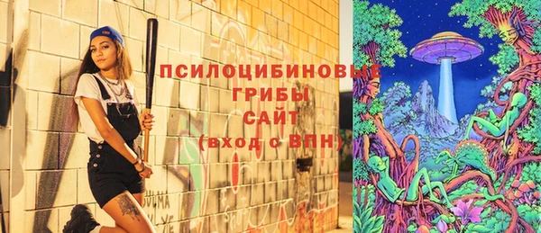 тгк Касимов