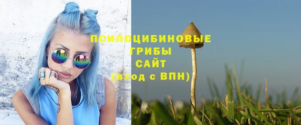 МДПВ Карпинск