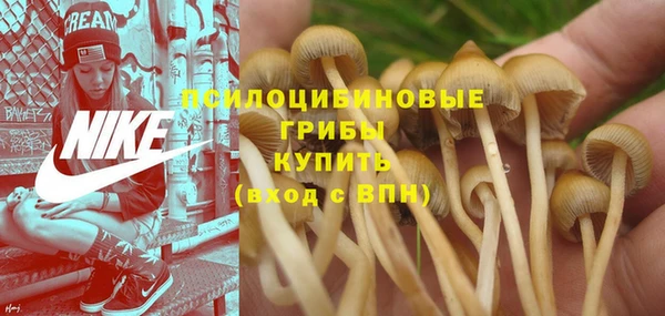 мескалин Абаза
